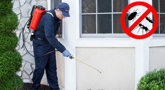 Buca Koop Böcek İlaçlama böcek ilaçlama ve haşere kontrolü — ilaclama-tr.com